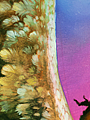 B 143 14.png