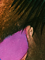 B 143 10.png