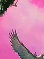 B 143 39.png