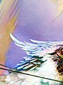 B 143 32.png