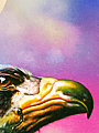 B 143 38.png