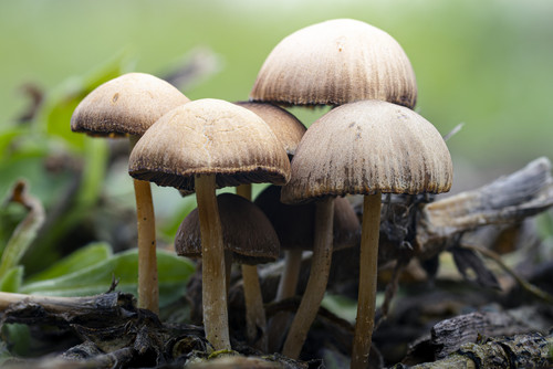 2023 01 29 20 02 21 (B,R8,S4).jpg