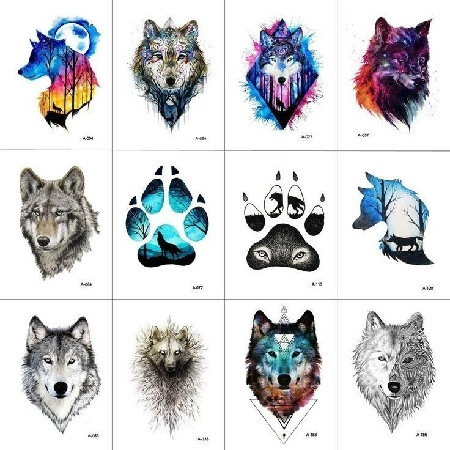 scaled image picker8995648703175994115.jpg