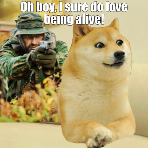 Polish 20230129 065316086.jpg