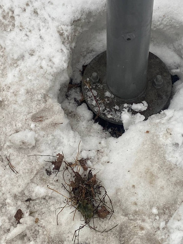 BBD0CFC2 74CD 4AC7 9331 772064DF4430.jpg