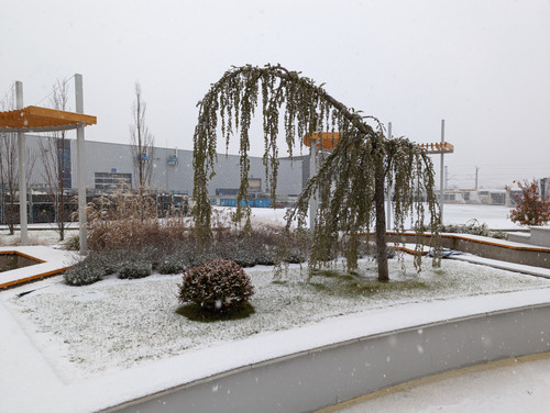 PXL 20230203 083733790.jpg