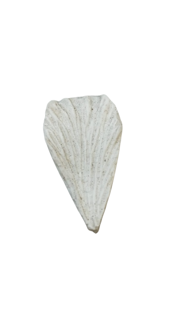 2e93040c 1035 4a88 bbce 2e5bea67ffd8 removebg preview.png