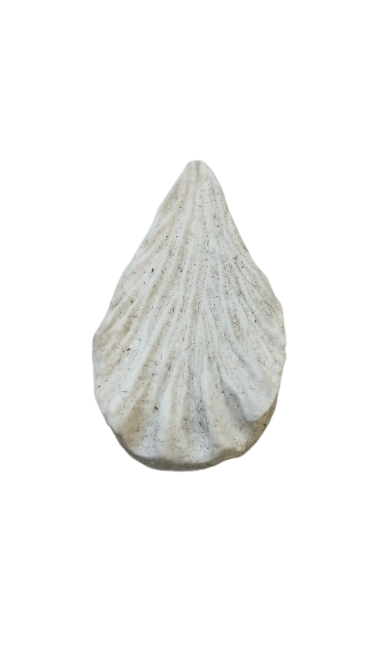 30668a9a 9590 4a56 ab92 c11d683b2c8a removebg preview.png