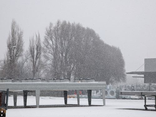 PXL 20230203 084710592.jpg