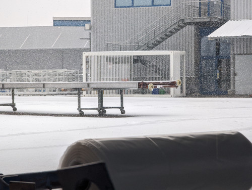 PXL 20230203 084702891.jpg