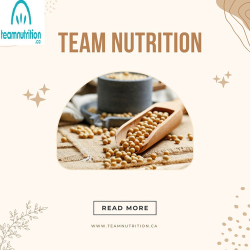 Team Nutrition (1).jpg