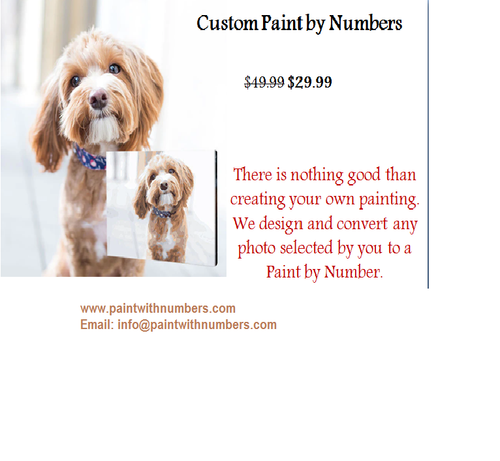 Paint with numbers usa.png