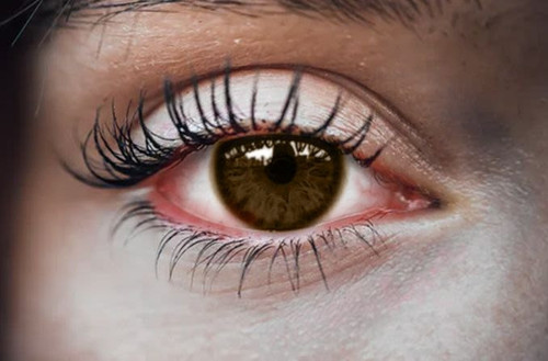 Hero Article PinkEye Eye compressor.jpg