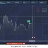 binary option trading platform dashboard 260nw 1186230799