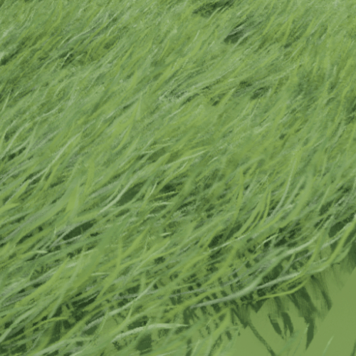 grass wind.gif