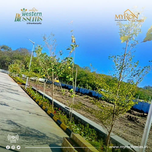 327775191 905670470624561 7303383857888177861 n.jpg