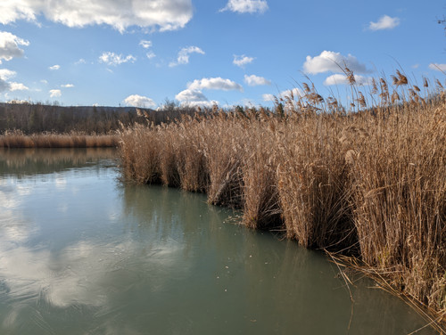 PXL 20230205 090905073.jpg