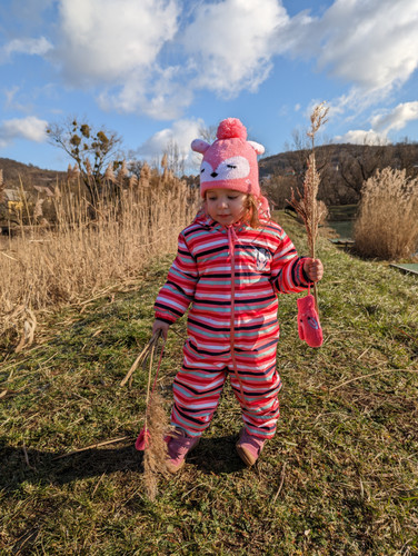 PXL 20230205 090452047.jpg