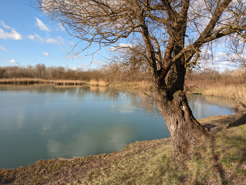 PXL 20230205 093939074.jpg