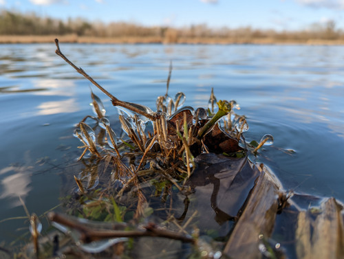 PXL 20230205 093215373.jpg