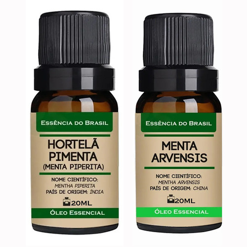 Hortelã Pimenta Menta Arvensis.jpg