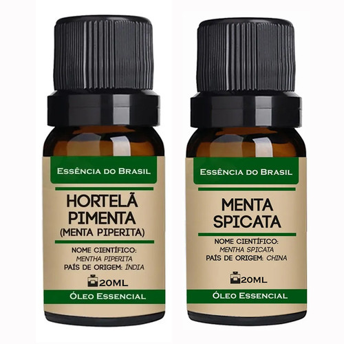 Hortelã Pimenta Menta Spicata.jpg