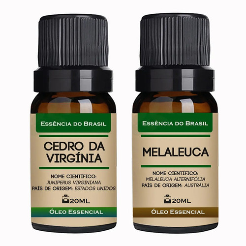 Cedro Virgínia Melaleuca.jpg