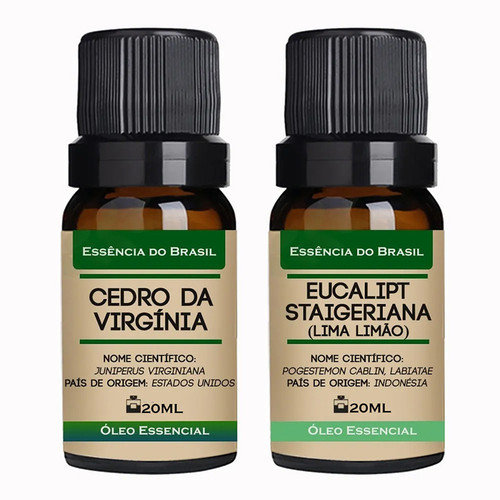 Cedro Virgínia Eucalipto.jpg