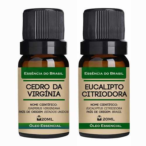 Cedro Virgínia Eucalipto Citrodora.jpg