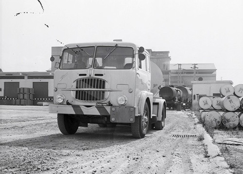 328335809 1132328280719168 5861918860507766674 n.jpg