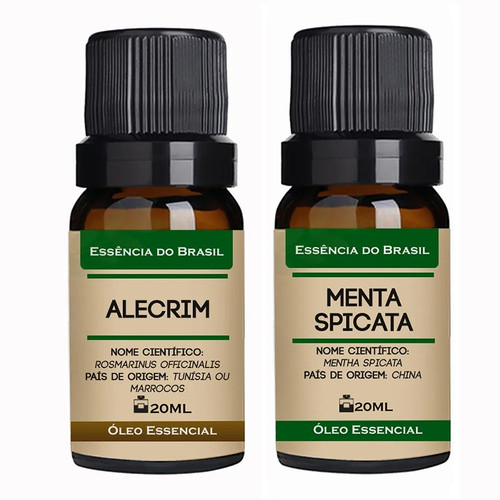Alecrim Menta Spicata.jpg