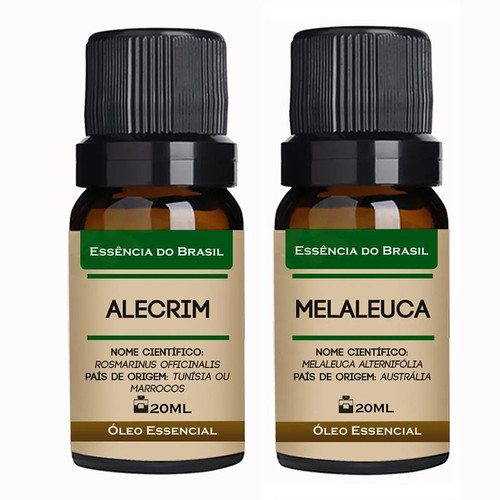 Alecrim Melaleuca.jpg