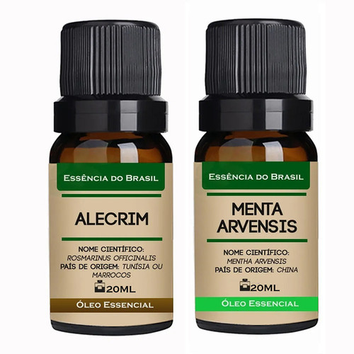 Alecrim Menta Arvensis.jpg