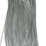 7b89d4c9 b056 4ee5 a916 a0f9c1c27851 removebg preview.png