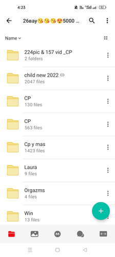 Screenshot 2023 02 03 16 23 45 99 2dff0e110cbb5dcf452c3609775e0d0f.jpg