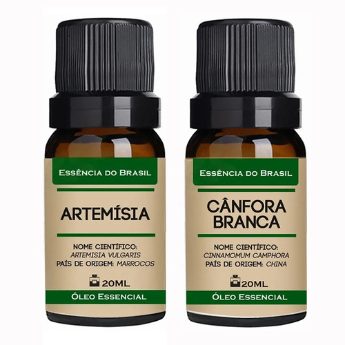 Artemísia Canfora.jpg