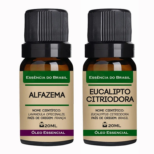 Alfazema Eucalipto Citrodora.jpg