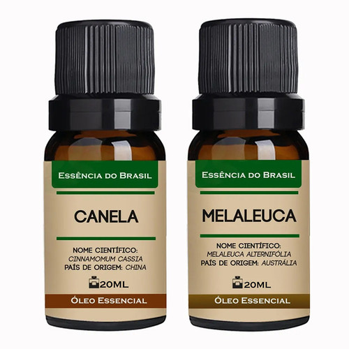 Canela Melaleuca.jpg