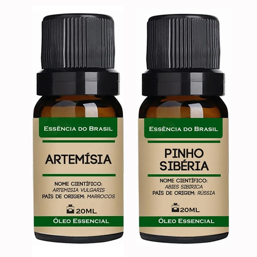 Artemísia Pinho Siberia.jpg