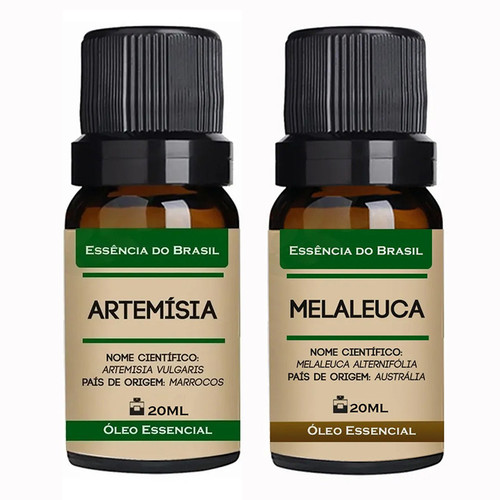Artemísia Melaleuca.jpg