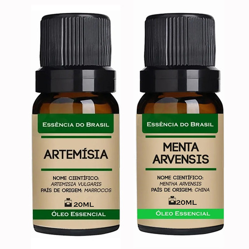 Artemísia Menta Arvensis.jpg