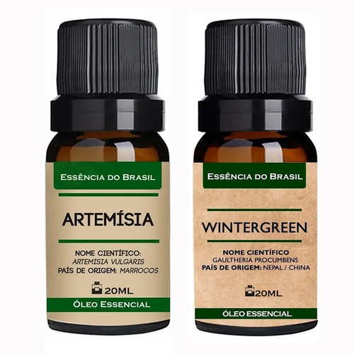 Artemísia Wintergreen.jpg