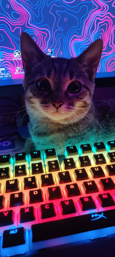 IMG 20221002 125241.jpg