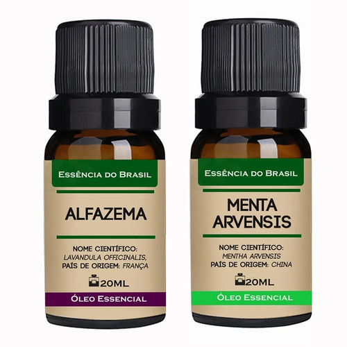 Alfazema Menta Arvensis.jpg