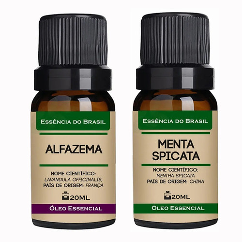 Alfazema Menta Spicata.jpg