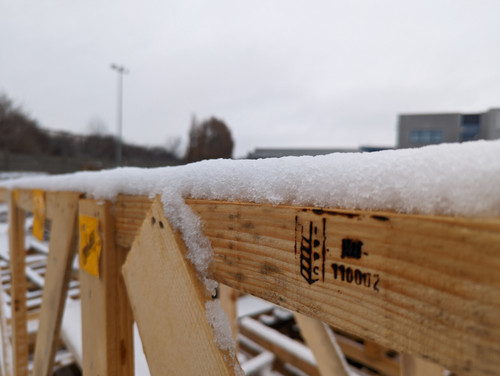 PXL 20230203 114518129.jpg