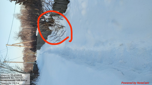 IMG 20230203 203746.jpg