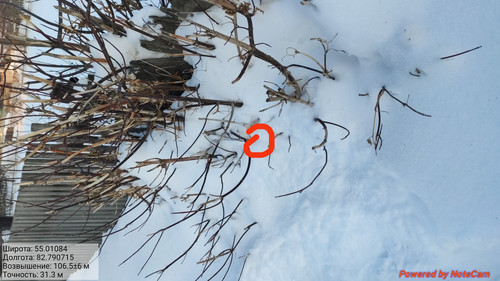 IMG 20230203 203000.jpg