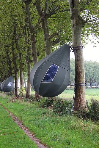 3D2C1732 EB9D 4126 9C46 EB5FAFD1396C.jpg