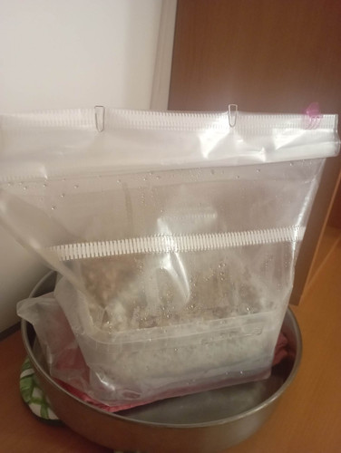 324926915 1140932646471936 1880648783723397595 n.jpg